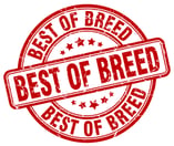 IT Security Best of Breed